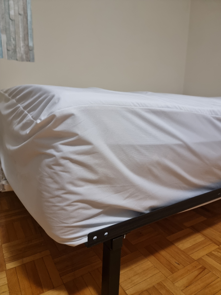 Double Mattress (no bed bug)