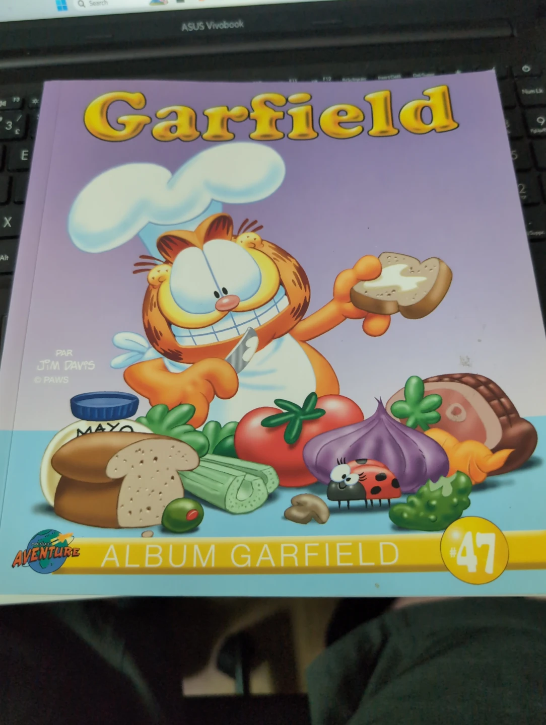 Garfield Album #47