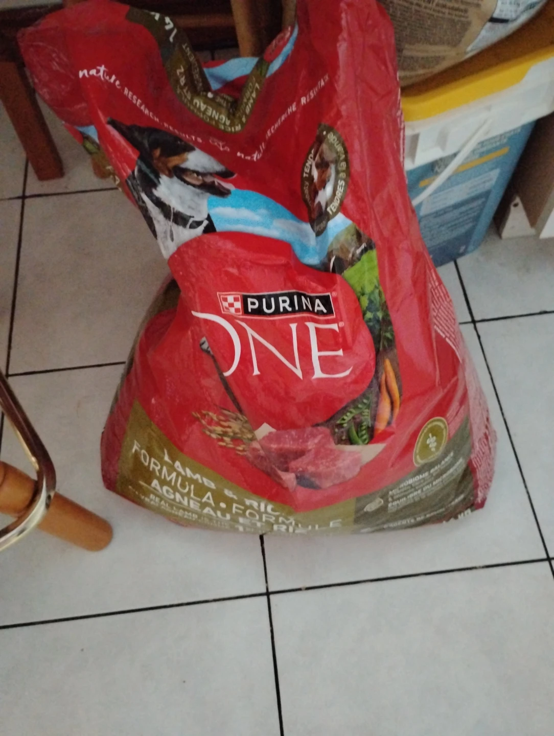 Purina ONE Lamb & Rice Formula Dry Dog Food