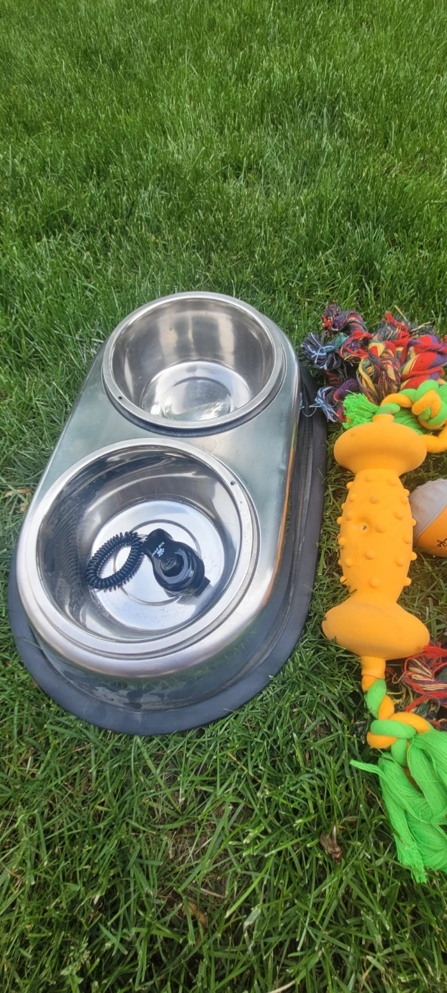 Dog Bowls and Toys Bundle - photo 2