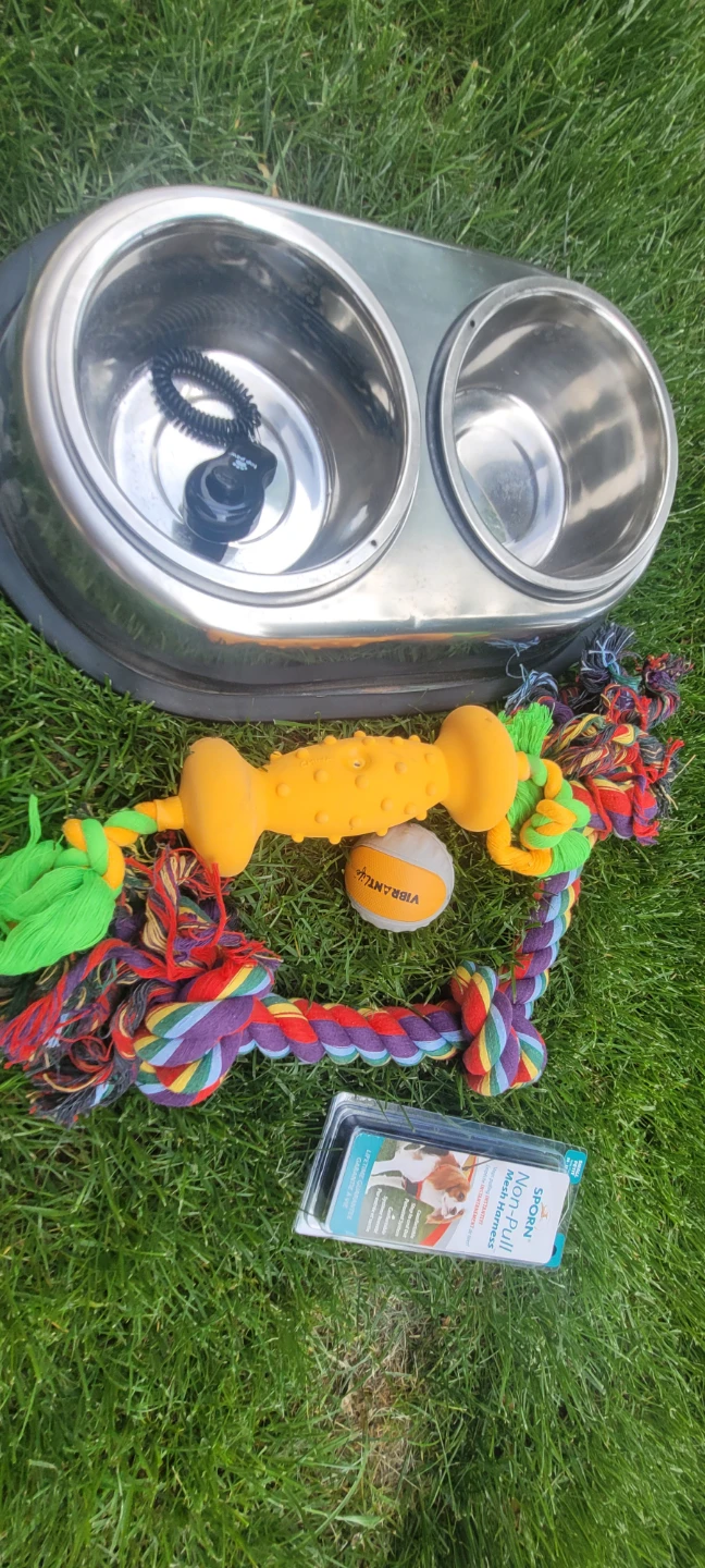 Dog Bowls and Toys Bundle - photo 3