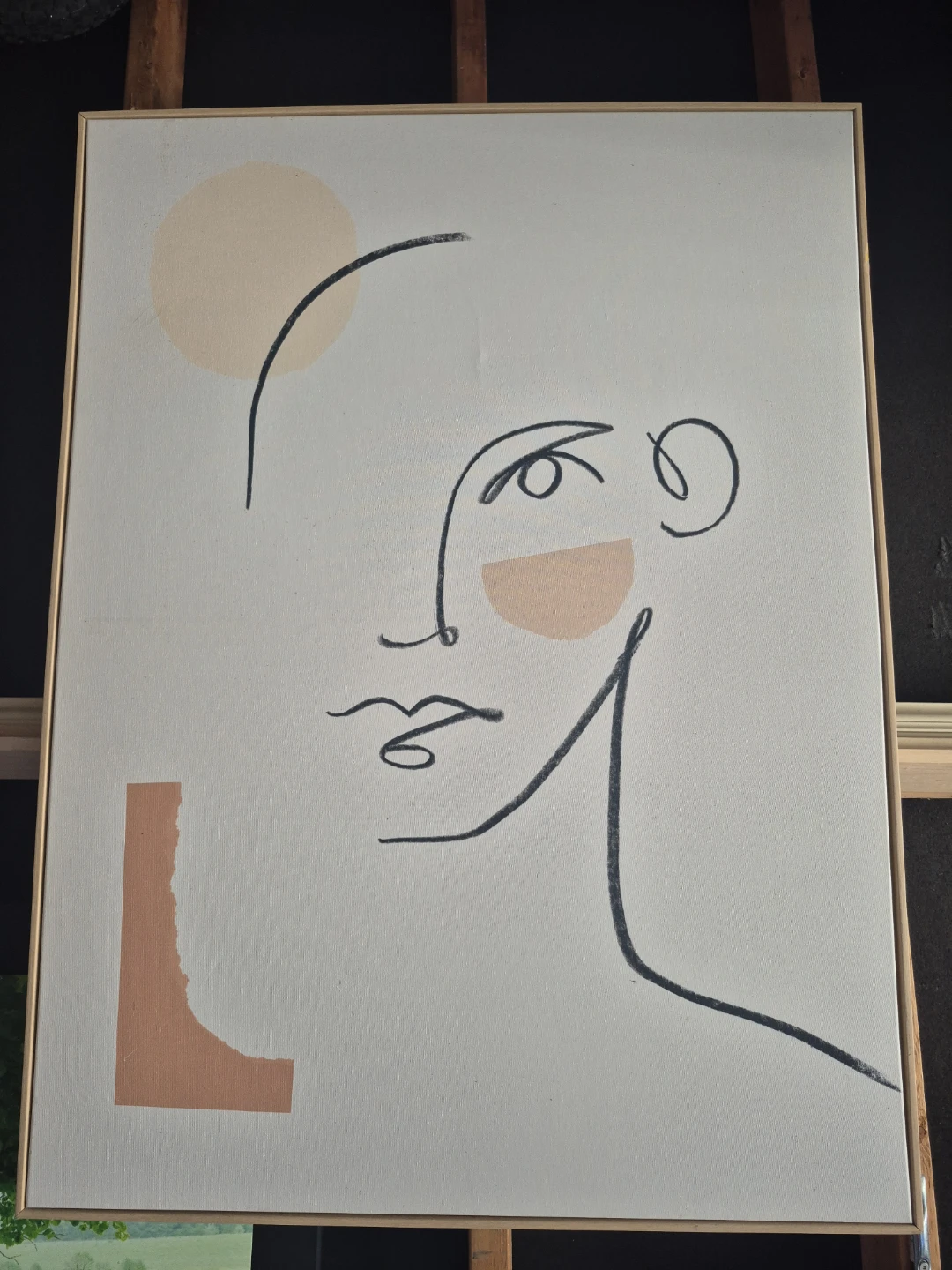 Framed Abstract Line Art Canvas