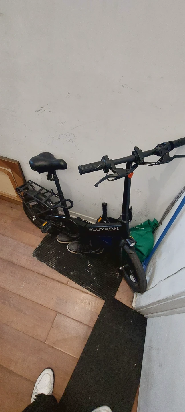 Blutron EB380F Foldable Electric Bike