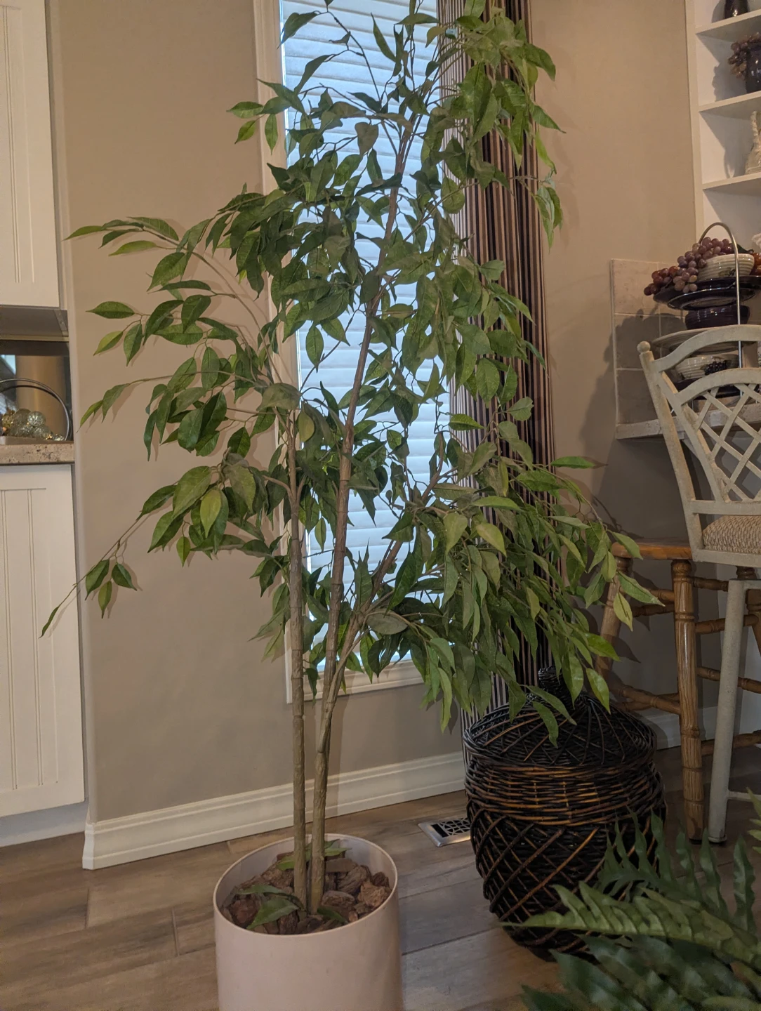 Artificial Ficus Tree in Planter - photo 2