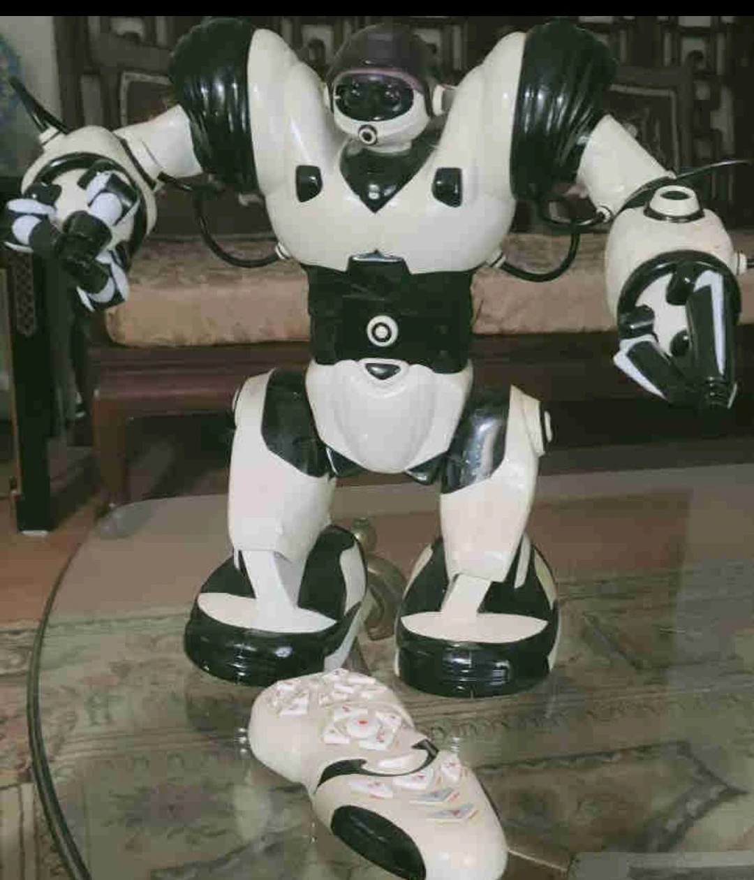 Remote Control Robot Toy