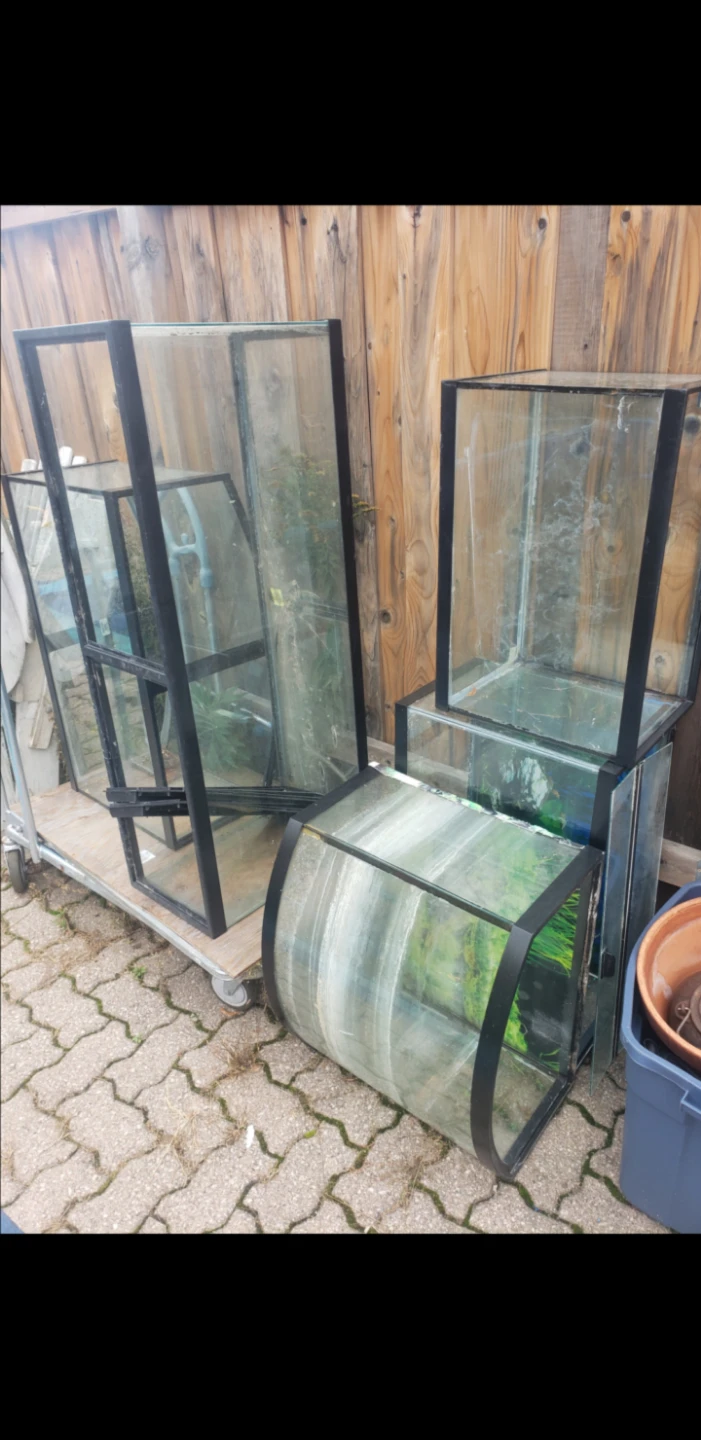 Glass Terrariums / Aquariums with Black Frames