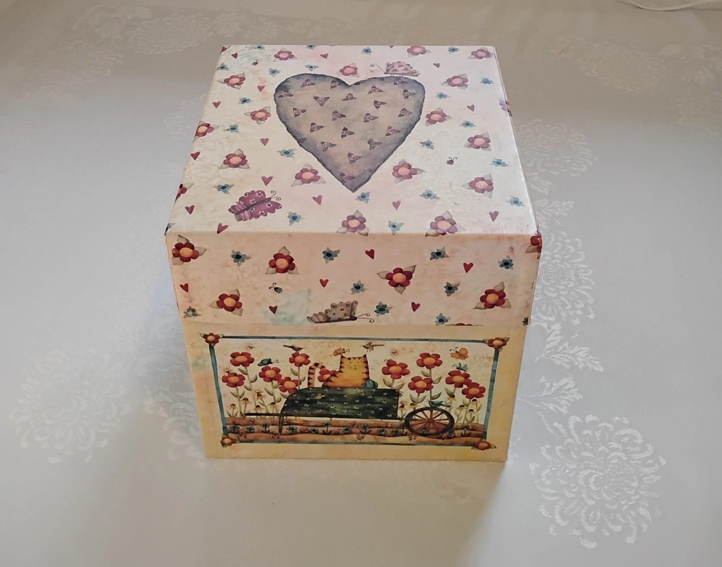 ⚽ Cat Box Large