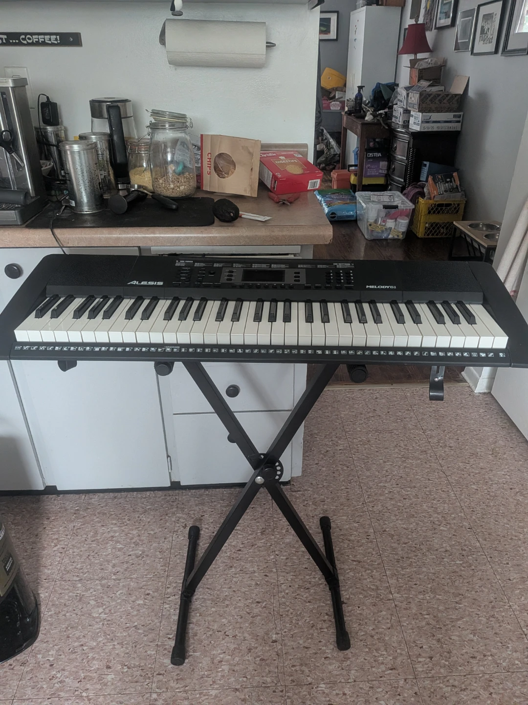 Alesis Melody 61 Keyboard with Stand