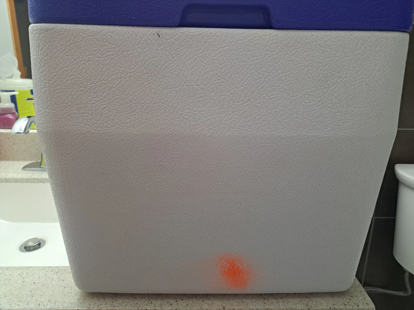 Small Coleman Cooler - photo 4