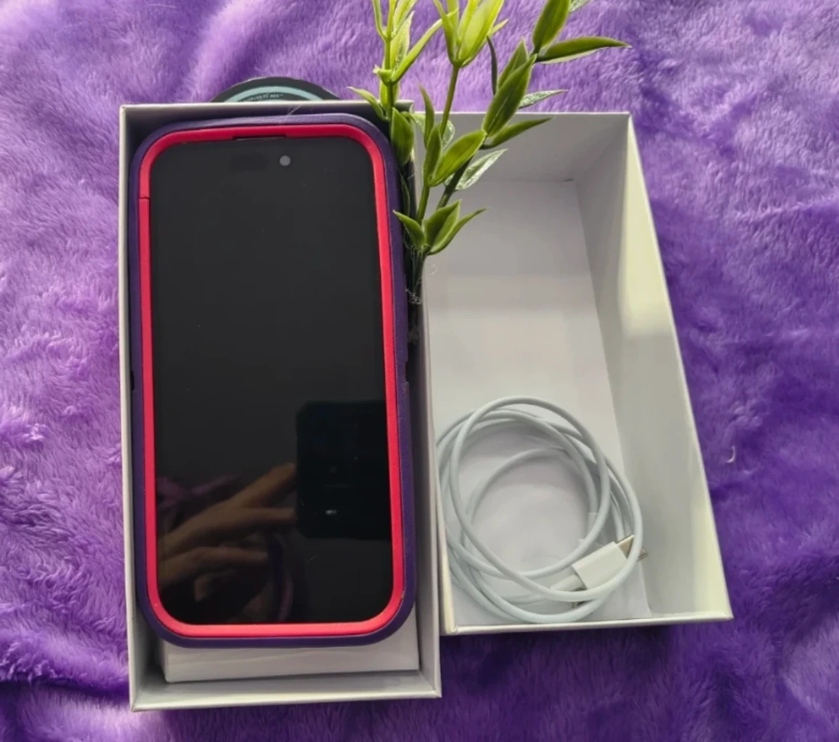 Apple iPhone 15 Refurbished, Box, Cable, Case - photo 5