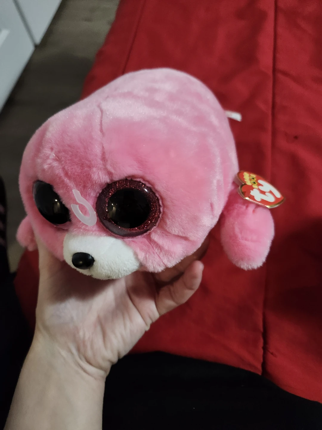 $10 beanie boo-Medium