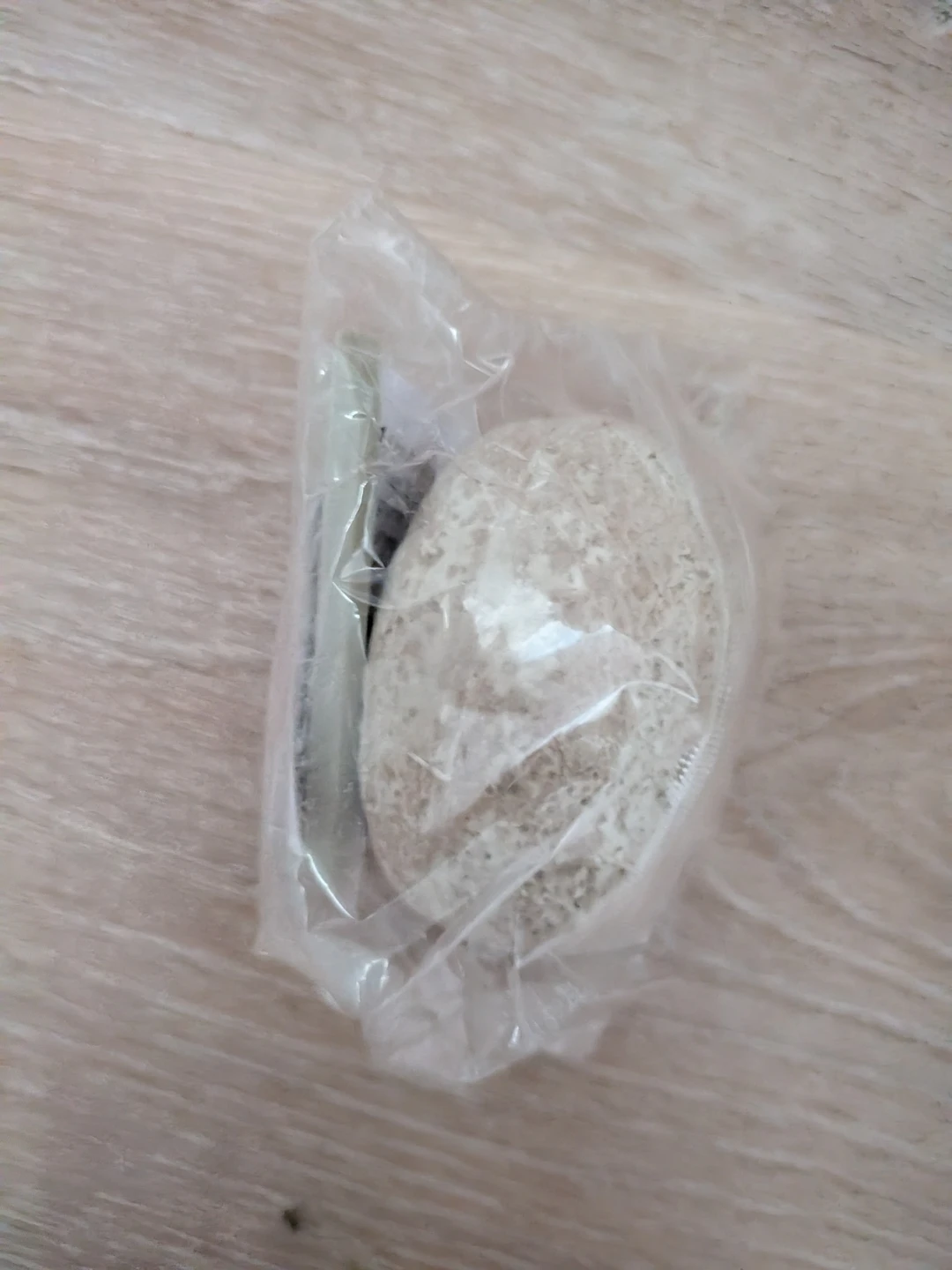 ⚽ Dig It Up Dinosaur Eggs Excavation egg