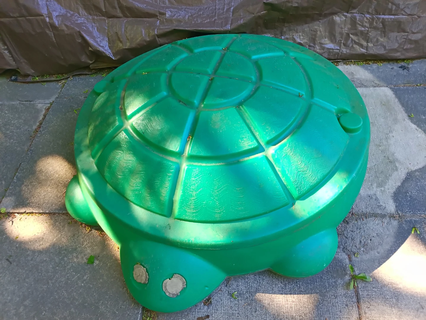 Turtle sandbox