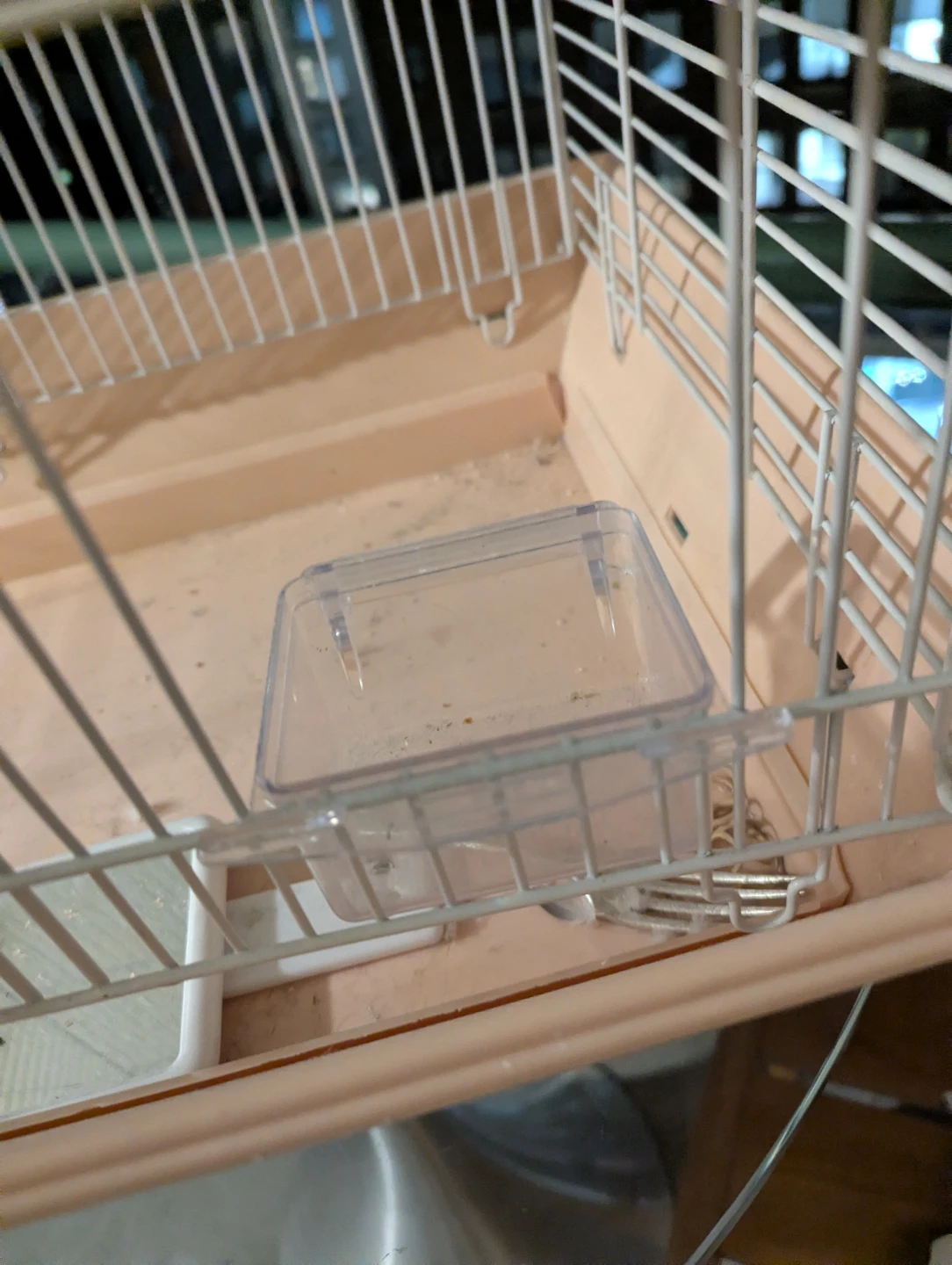 Bird cage - photo 2