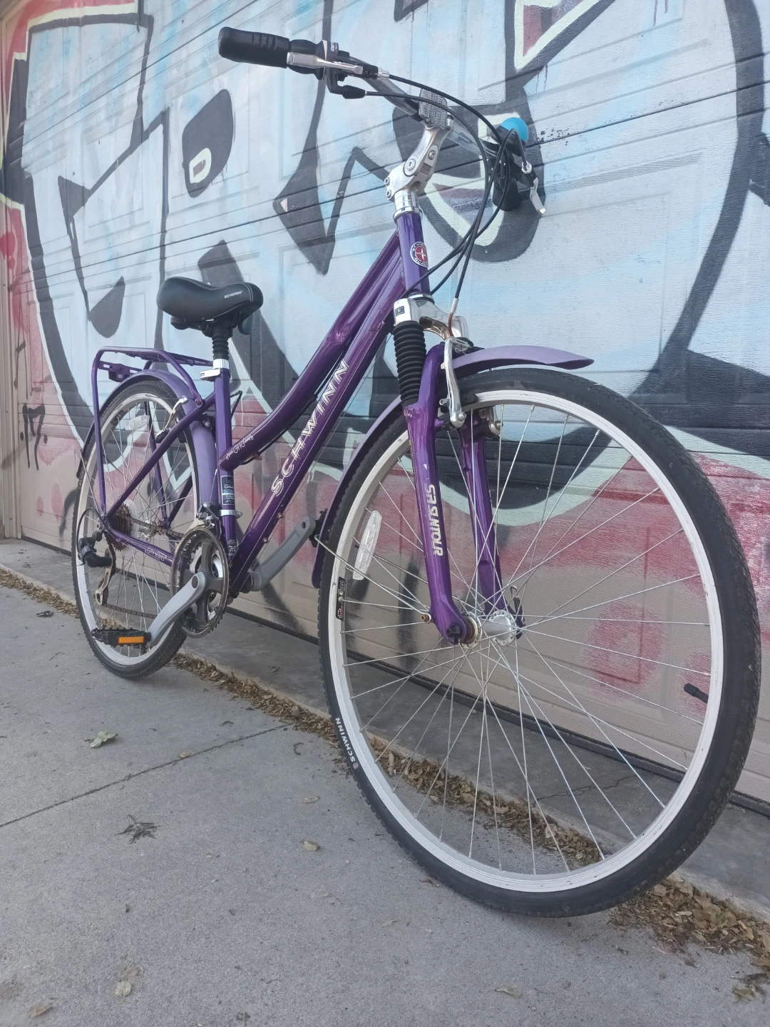 Schwinn Bike
