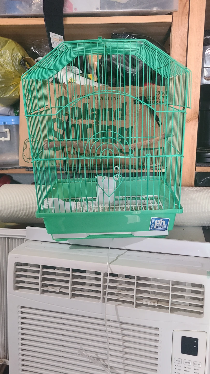 Green Bird Cage - photo 2
