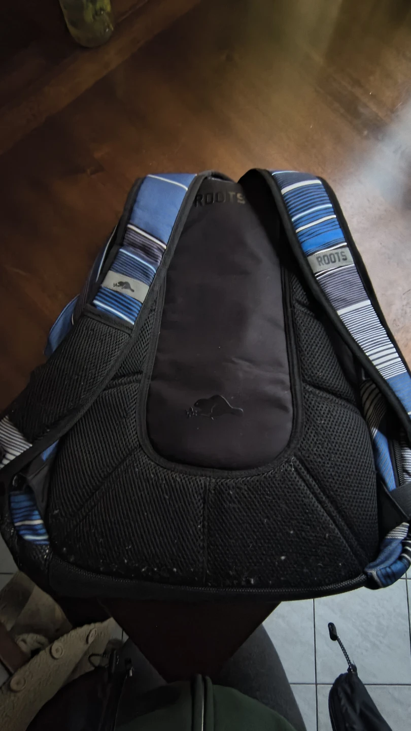 Roots Backpack - photo 2