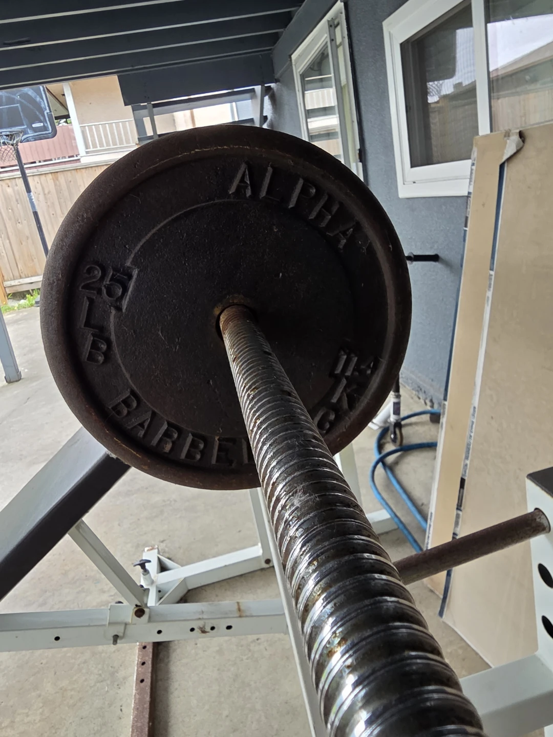 Alpha 25lb Weight Plates - photo 3