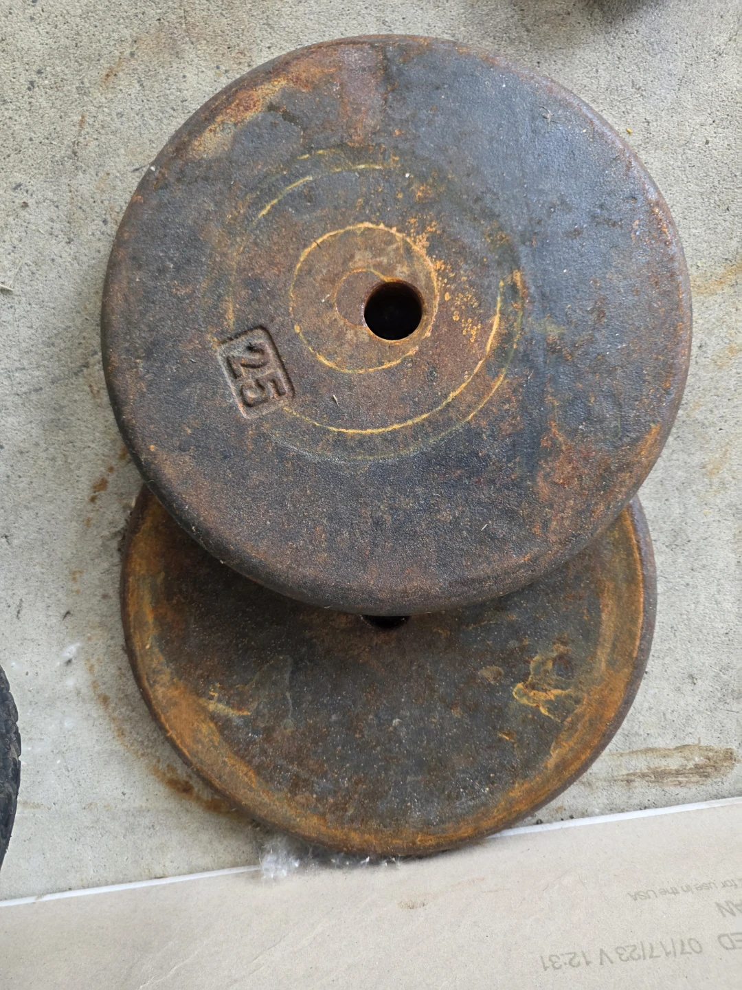 Alpha 25lb Weight Plates - photo 4