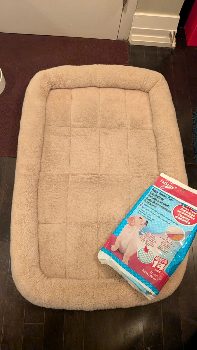 Petlibro Automatic Pet Feeder, Dog Bed, Pee Pads - photo 3