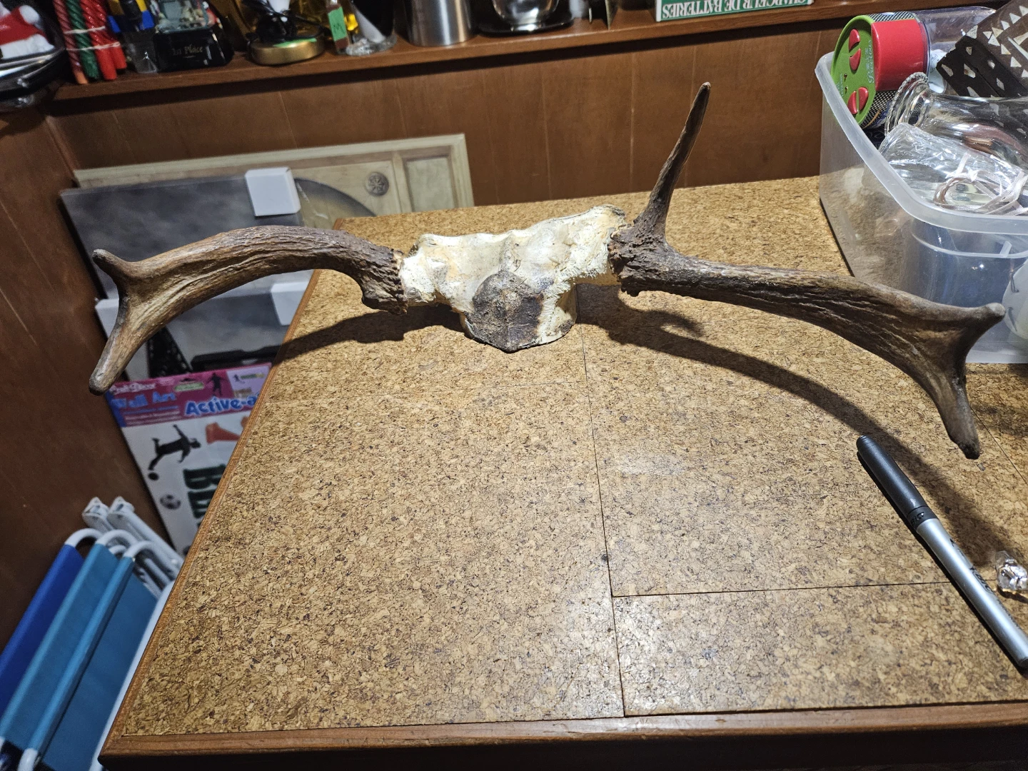 Deer Antlers Mount - photo 2