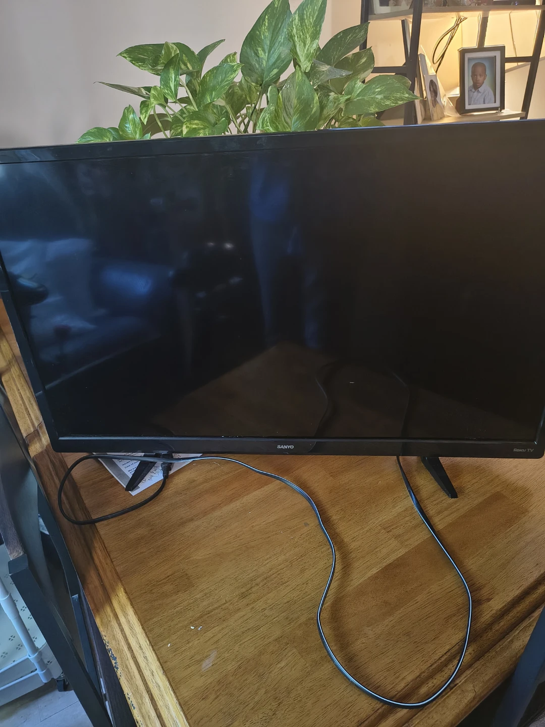 28"  SANYO  ROKU TV