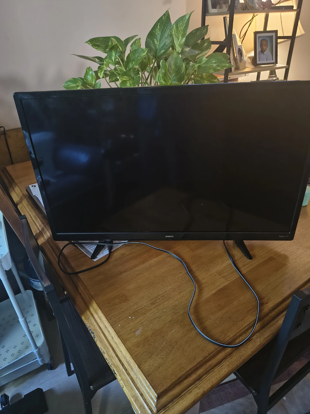 28"  SANYO  ROKU TV - photo 2