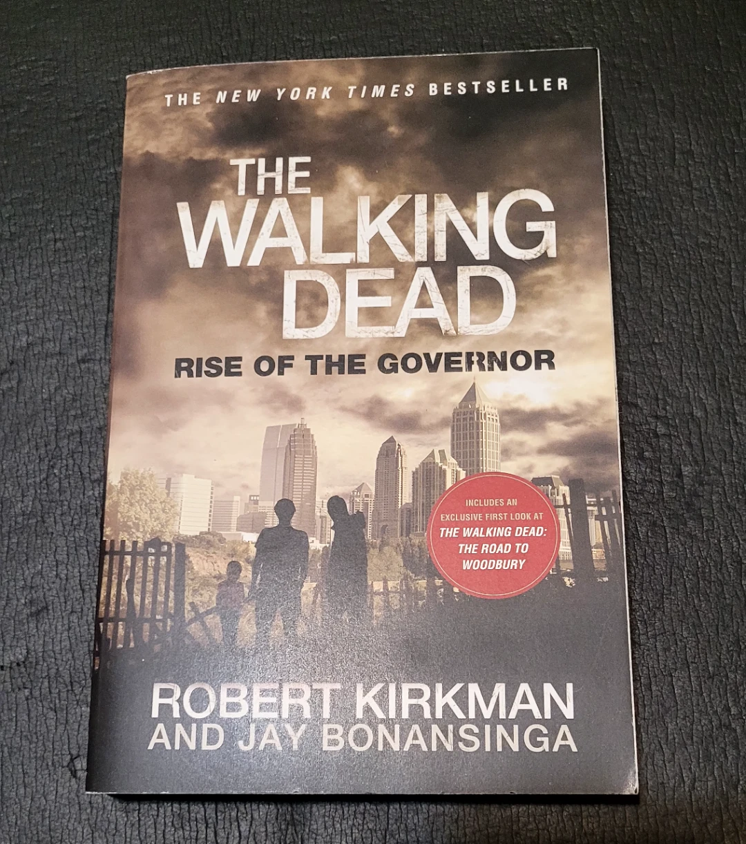 The Walking Dead Rise of the Governor Book