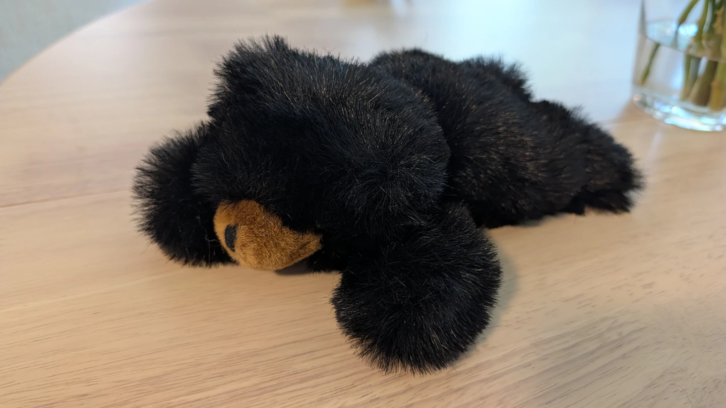 Brand New Black Plush Bear