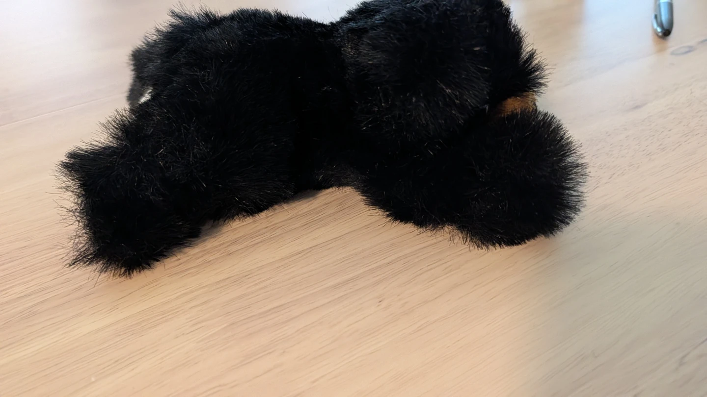 Brand New Black Plush Bear - photo 3
