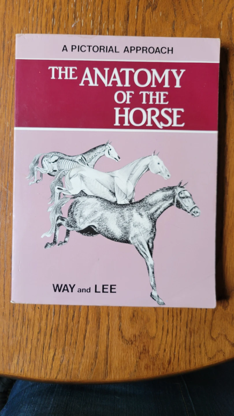 The Anatomy of the Horse Book ⚽