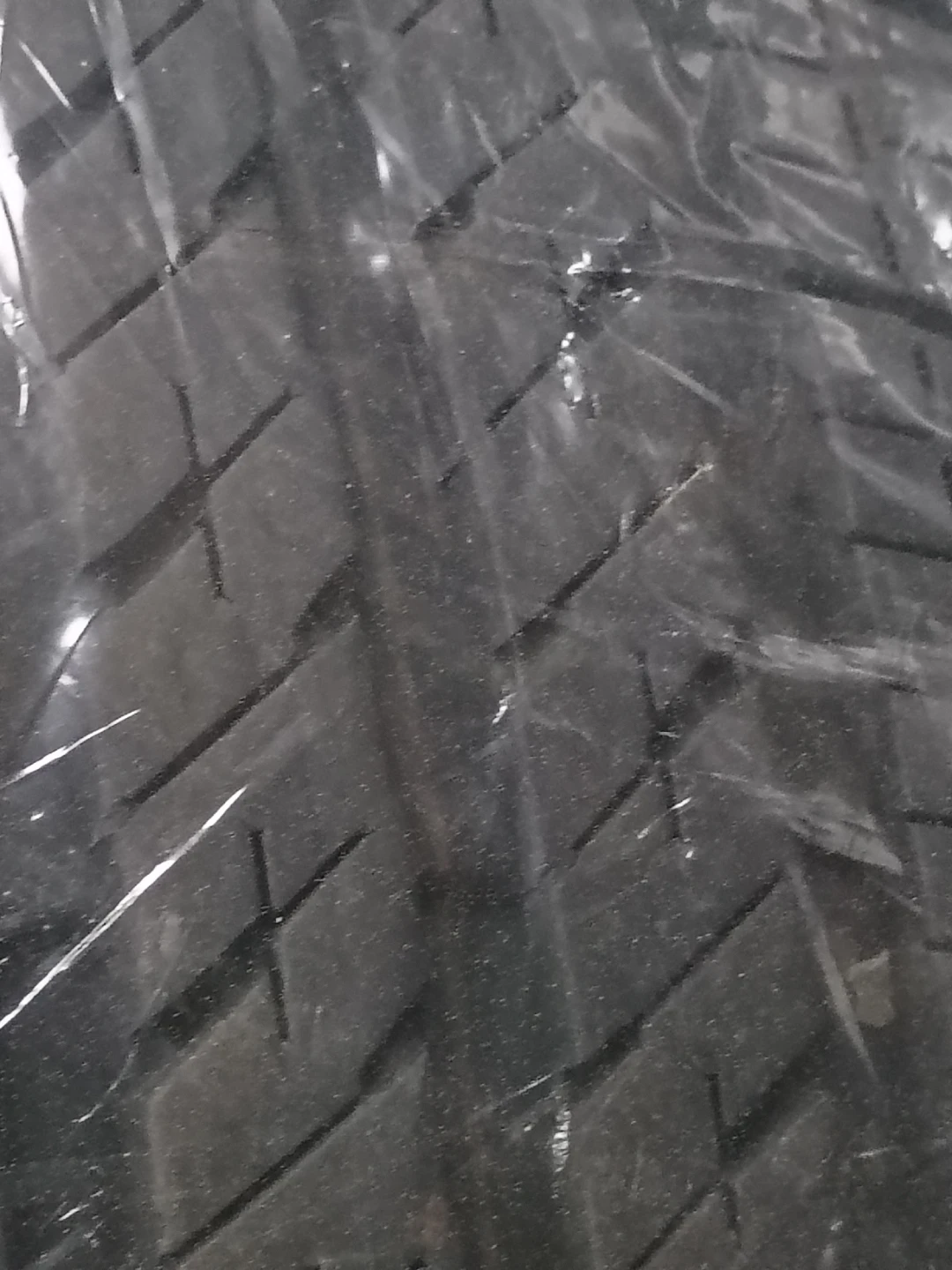 Bridgestone Ecopia