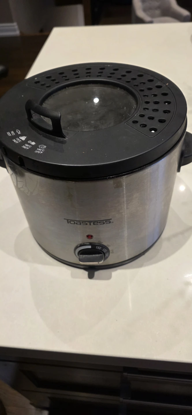Toastess Stainless Steel Deep Fryer