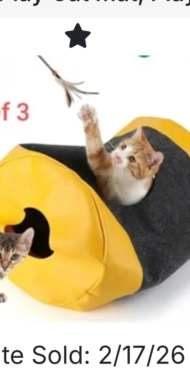Cat Play Tunnel and Hideout