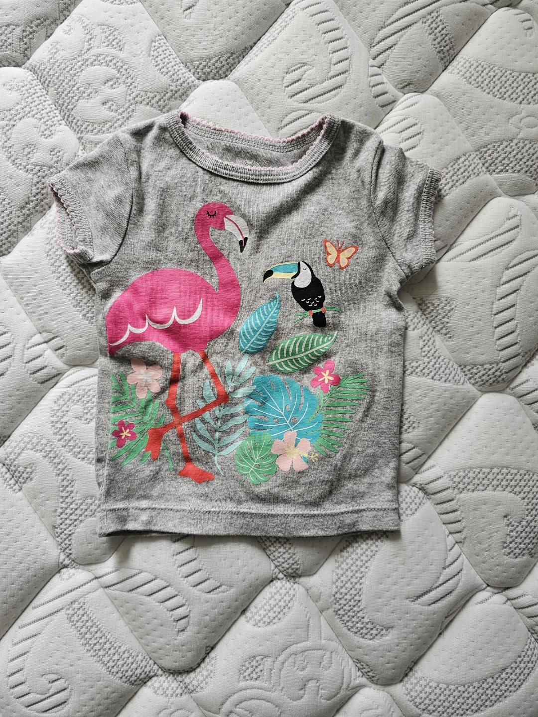 Girls Grey Flamingo & Toucan T-Shirt 12 months