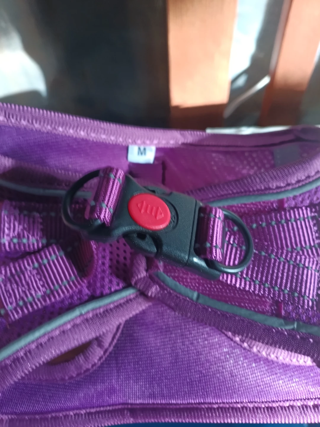 Bella & Pal Dog Harness and Leash Set - Purple - photo 4