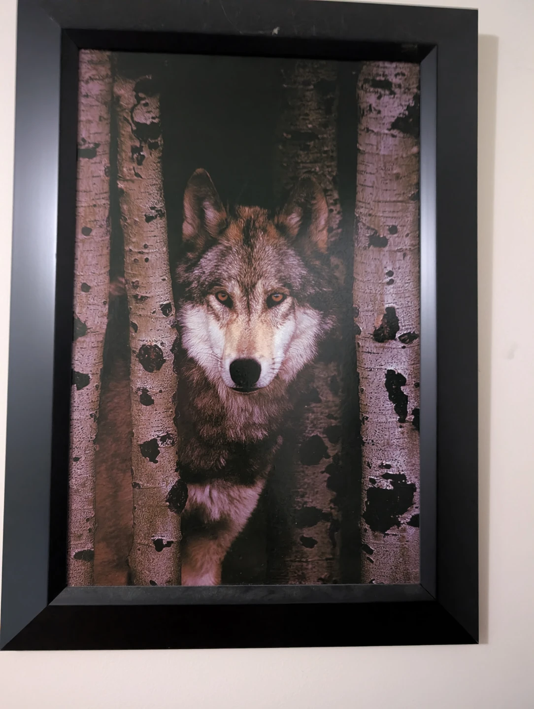 Framed Wolf Picture