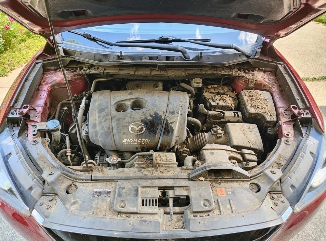 Engine Bay detailing for sale