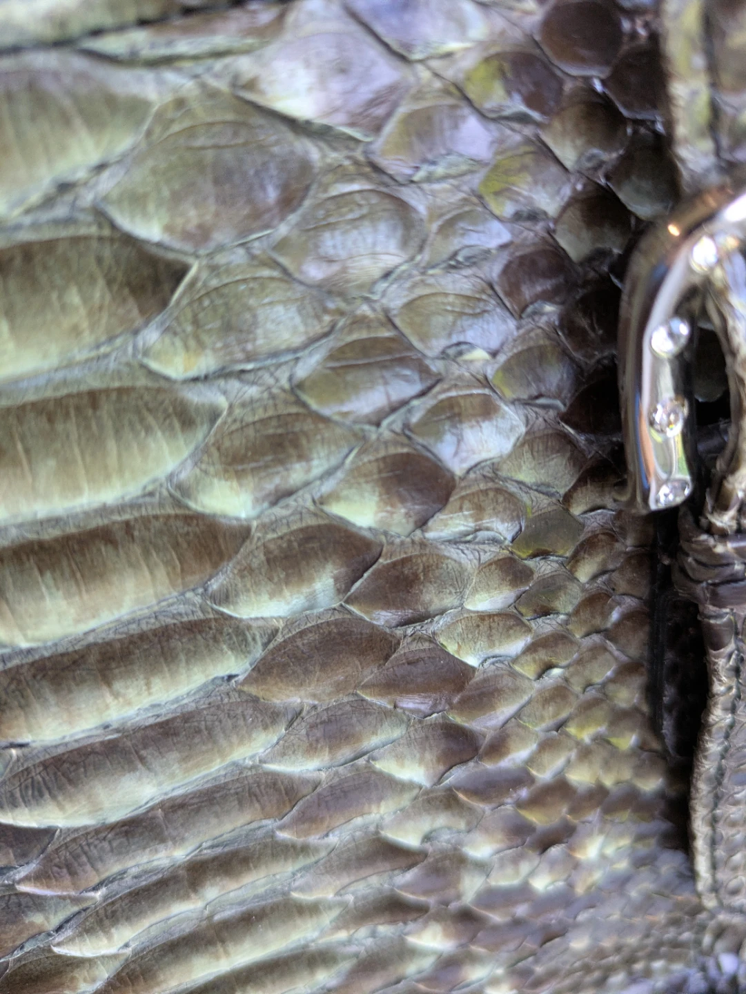 Fanara Italian Leather Snake Print Shoulder Bag - photo 4