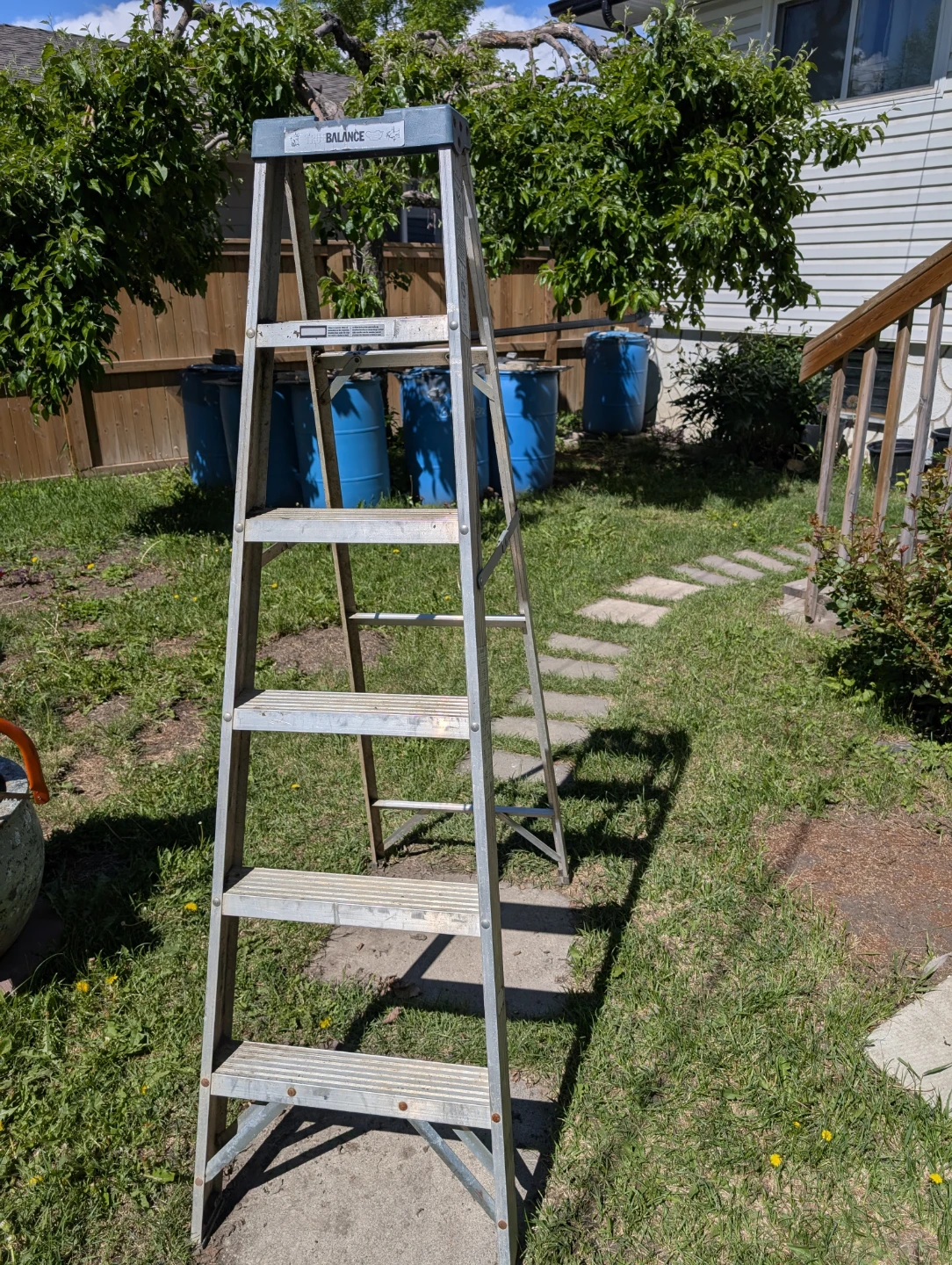 Balance Step Ladder