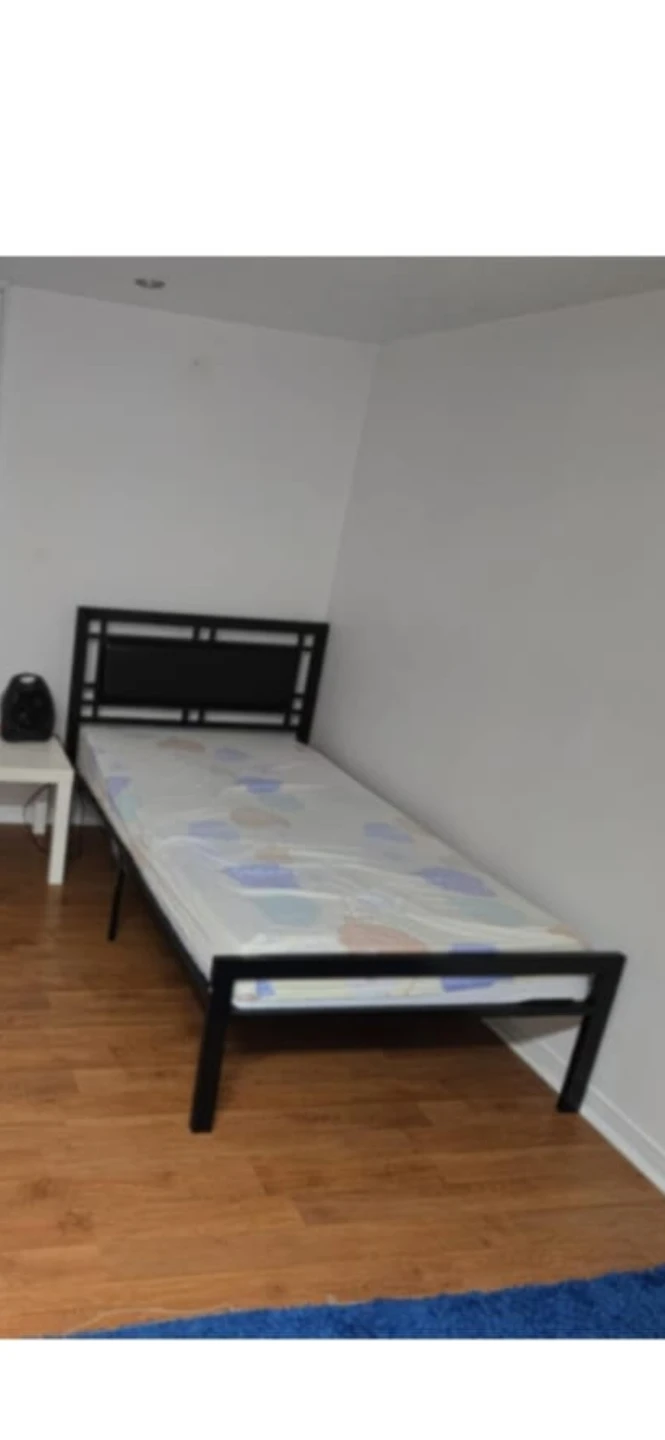 Black Metal Single Bed Frame with Mattress