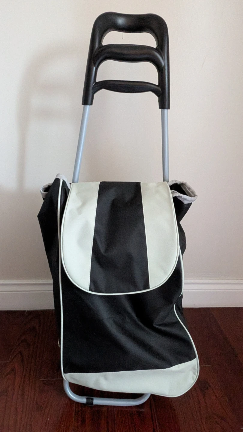 Black and White Shopping Cart