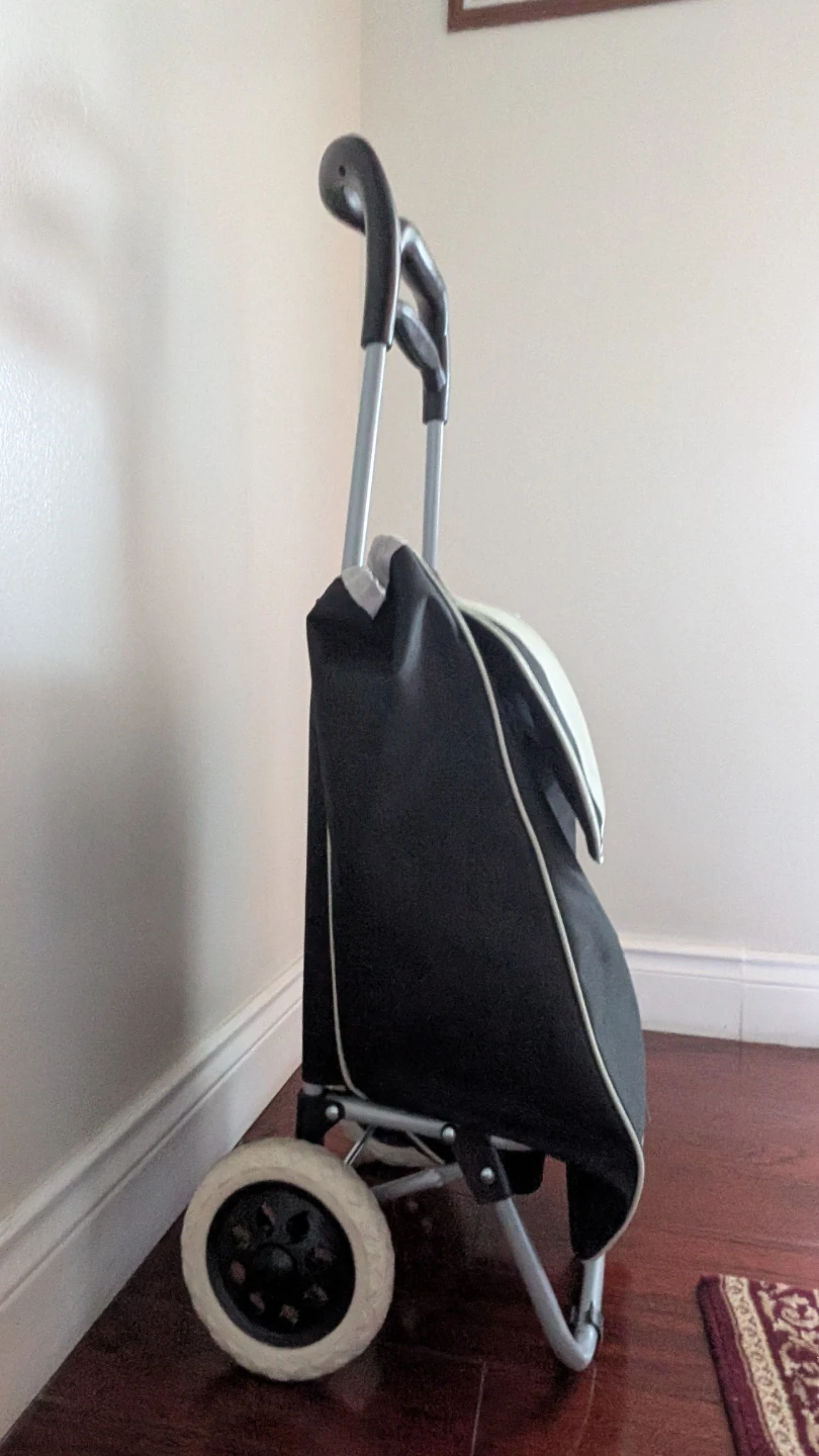 Black and White Shopping Cart - photo 3