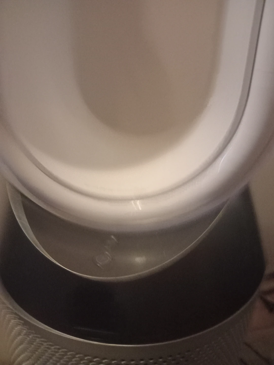 Dyson - photo 4