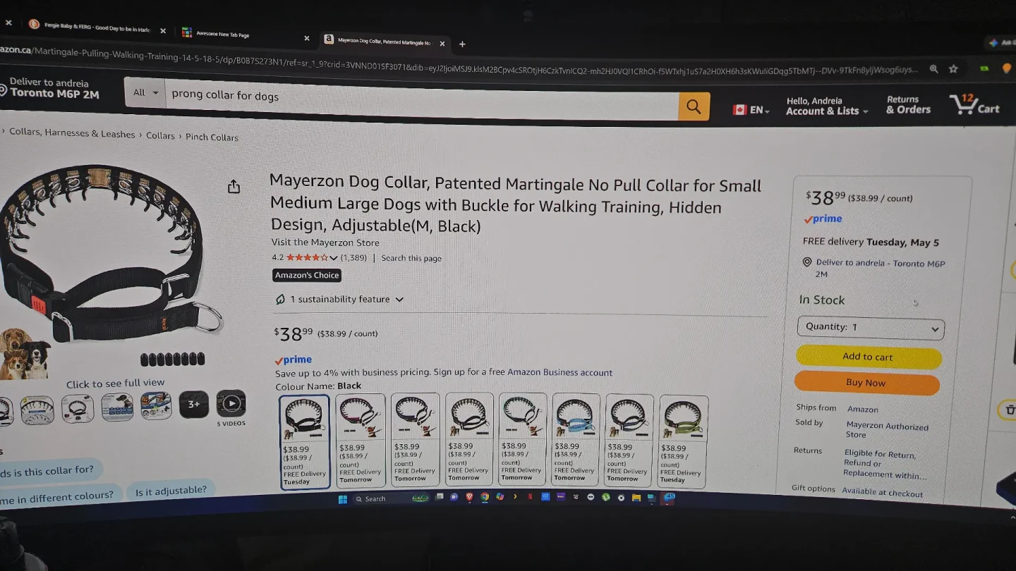 Mayerzon Dog Collar - Martingale Training, Black - photo 4