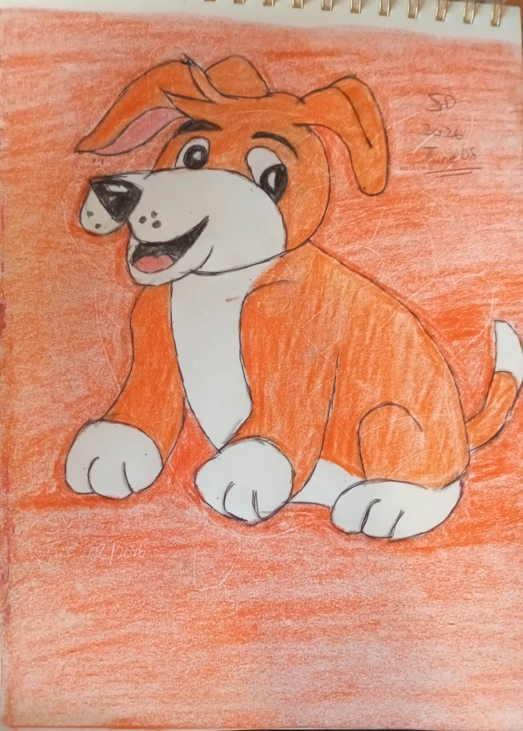 Orange Dog with Orange Background - photo 5
