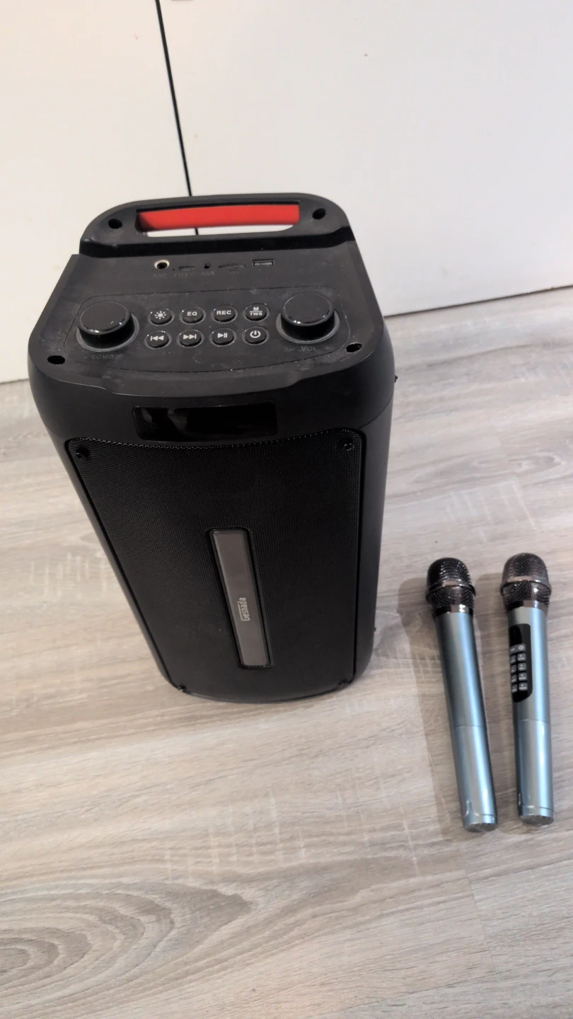 Portable Speaker with 2 Microphones