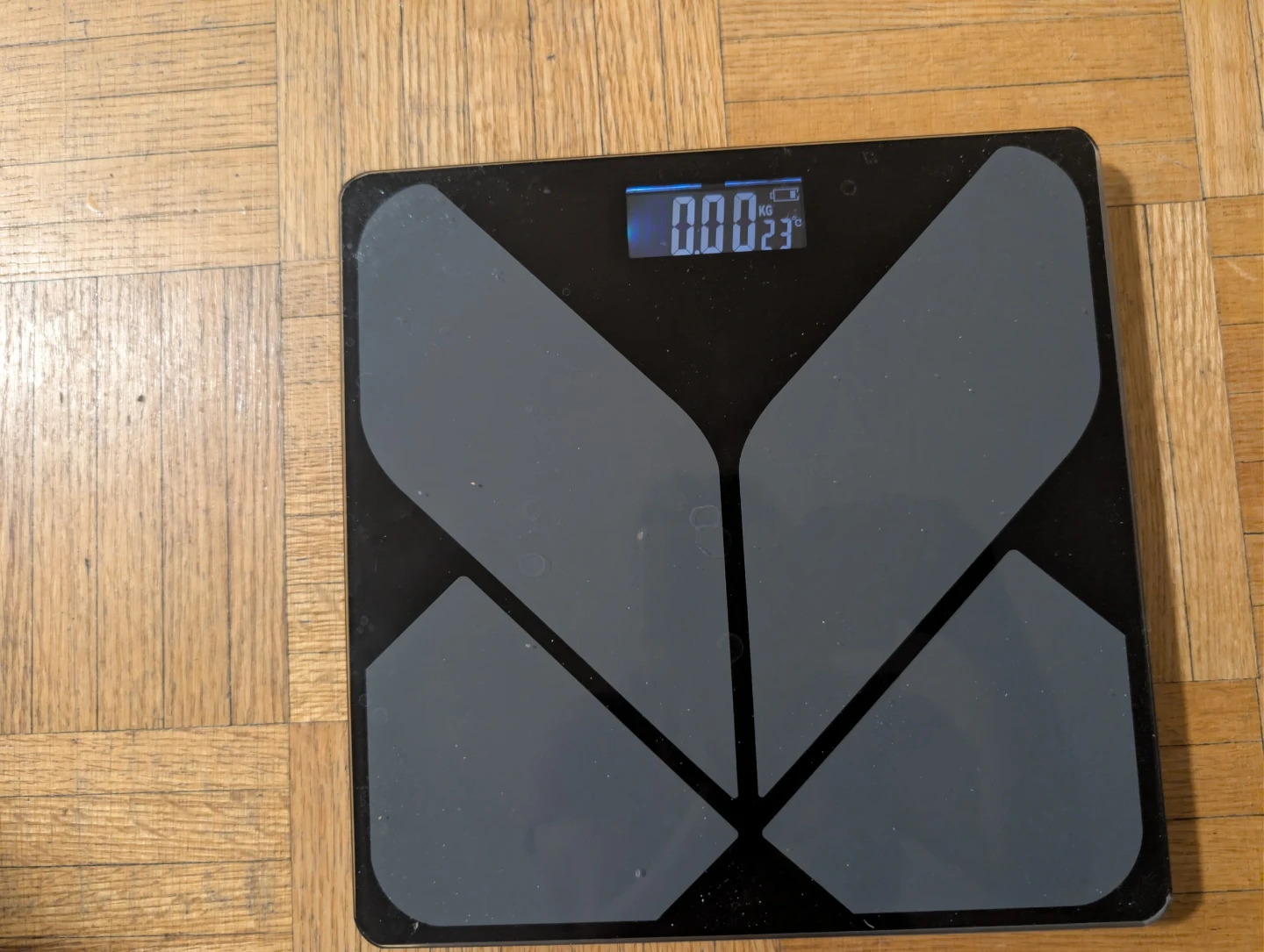 Digital Bathroom Scale