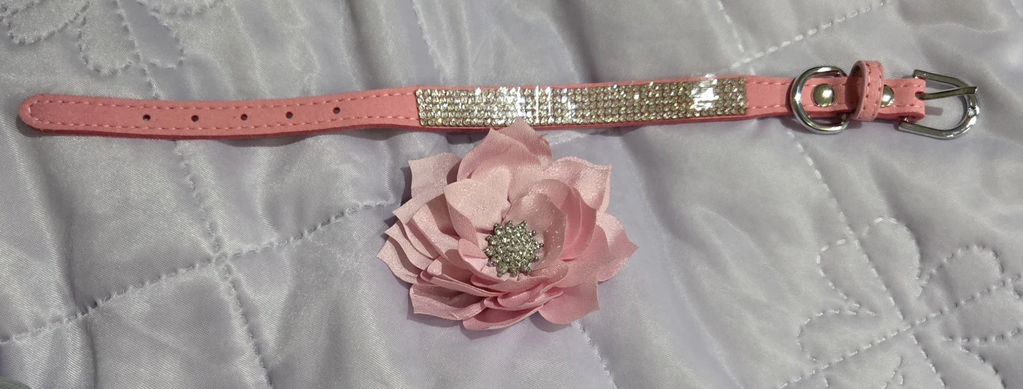 Pink Dog Collar with Rhinestones and Flower