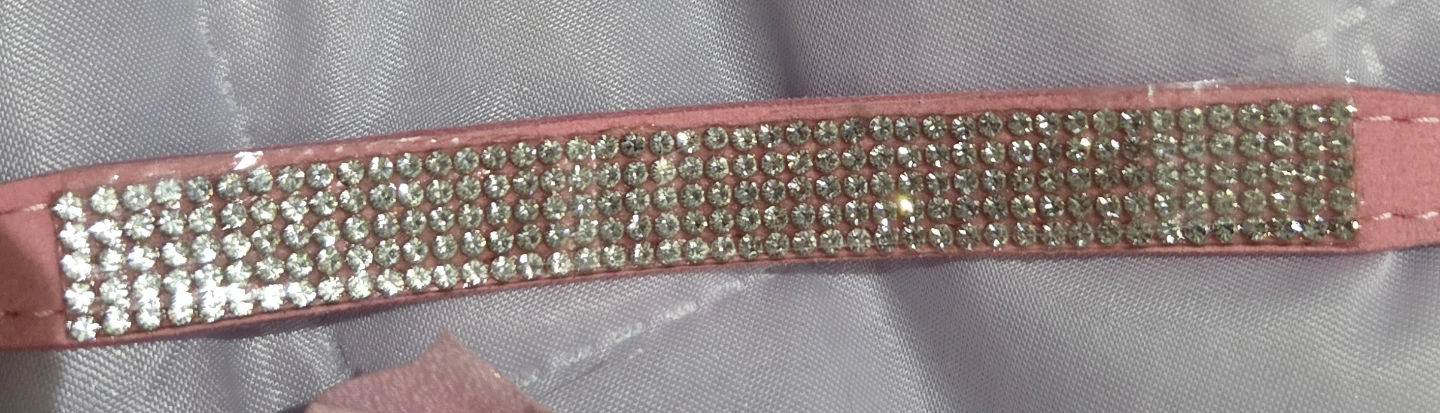 Pink Dog Collar with Rhinestones and Flower - photo 3